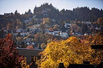 a city with houses on a hill in autumn